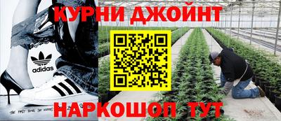 СК Кимры
