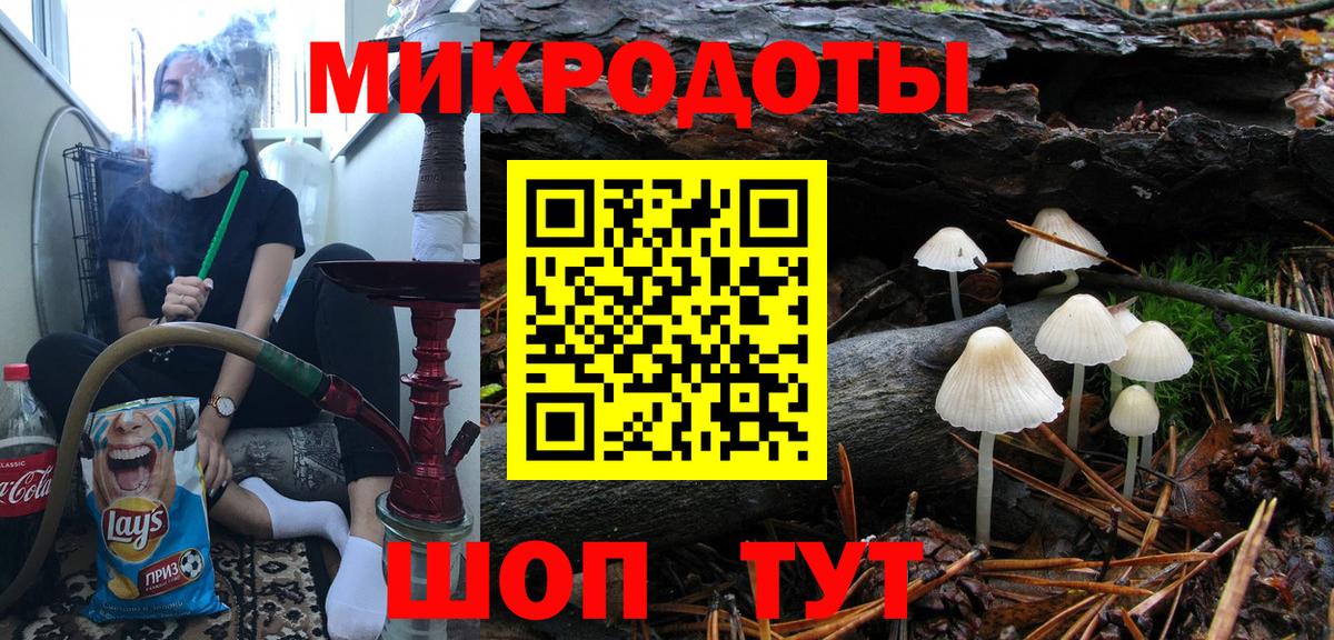 Галлюциногенные грибы Psilocybe Красноармейск