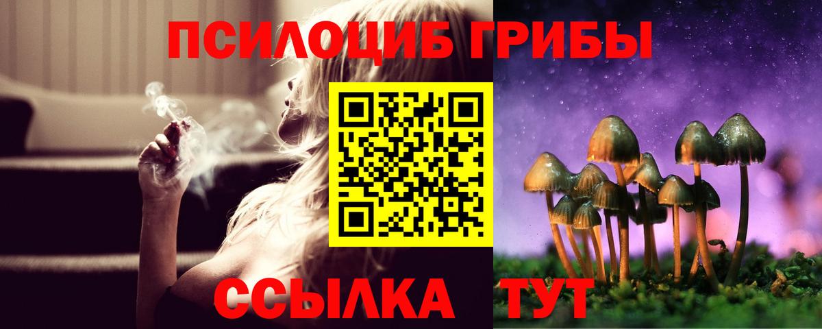Псилоцибиновые грибы Psilocybe  Вход с VPN  Красноармейск 